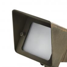 Kichler 15786CBRD - Large Wash Dual Socket