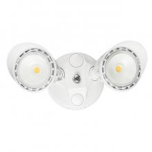 Security Lights