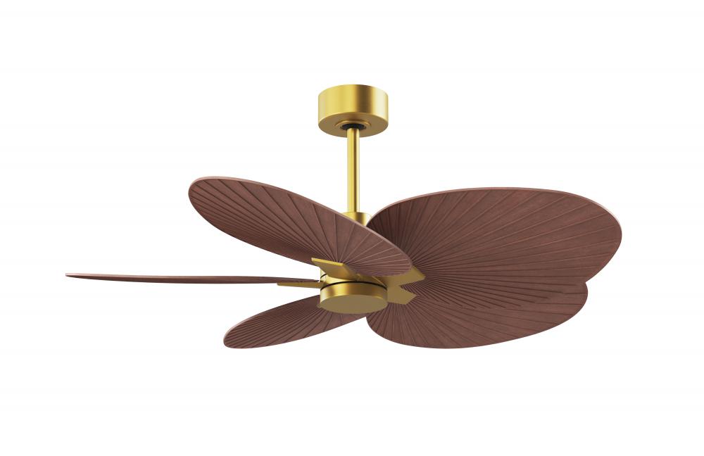 Alessandra Tropical 5-blade ceiling fan in Brushed Brass and Walnut Tone blades.