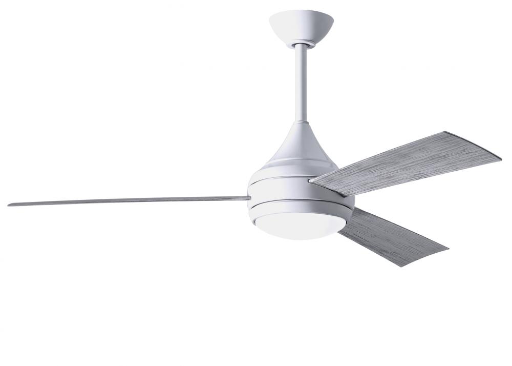 Donaire wet location 3-Blade paddle fan constructed of 316 Marine Grade Stainless Steel