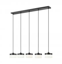 Z-Lite 827P6-5L-MB-LED - 5 Light Linear Chandelier