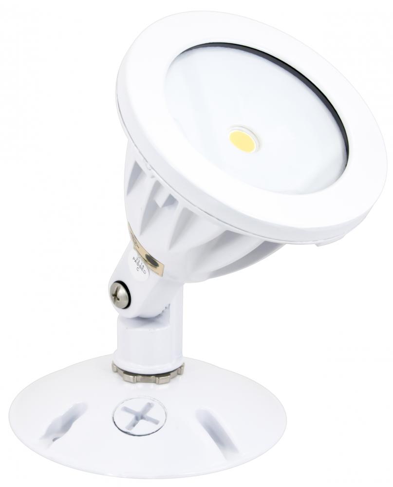 Single Head COB Flood Light, 8.3 Watts, White Finish