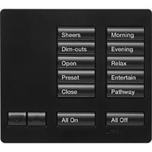 Lutron Electronics RR-T10RL-MN - RADIORA2 LGE 10 BUTTON TT R/L KEYPAD MN