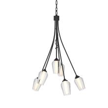 Hubbardton Forge 103043-SKT-10-ZS0354 - Flora 6 Arm Chandelier