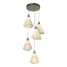 Hubbardton Forge 131122-SKT-STND-84-SH1987 - Mobius 5-Light Pendant