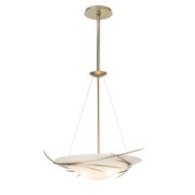 Hubbardton Forge 131620-SKT-MULT-86-GG0722 - Wisp Pendant