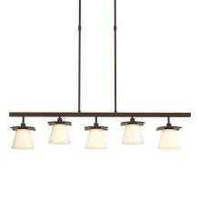 Hubbardton Forge 136605-SKT-SHRT-05-GG0242 - Wren 5 Light Pendant