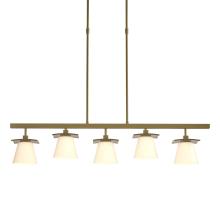 Hubbardton Forge 136605-SKT-SHRT-86-GG0242 - Wren 5 Light Pendant