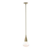 Hubbardton Forge 188902-SKT-MULT-84-ZM0676 - Fritz Large Pendant