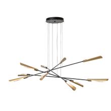 Hubbardton Forge 131412-SKT-LONG-07-07-WC0822 - Flight 10-Light Pendant