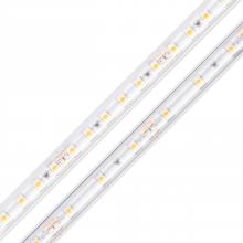 Diode Led DI-12V-BLBSC1-27-W100 - STRIP/TAPE LIGHT