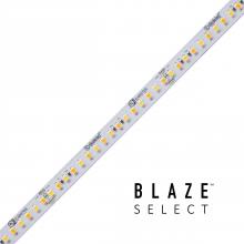 Diode Led DI-24V-BLSEL-TW2460-016 - STRIP/TAPE LIGHT