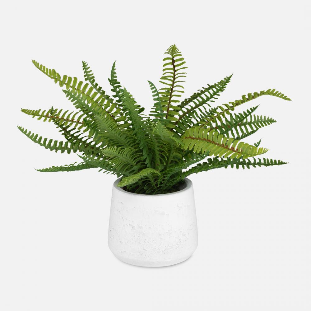 Uttermost Boston Fern In White Ceramic Pot