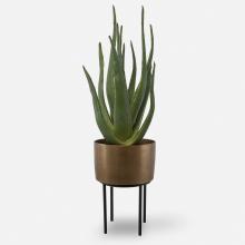 Uttermost 60217 - Uttermost Arabia Aloe Planter