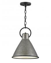 Hinkley 3557RP - Small Pendant