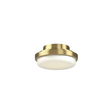 Fanimation LK8514BS - TriAire Ceiling Fan Correlated Color Temperature (CCT) Select LED Light Kit - Brushed Satin Brass