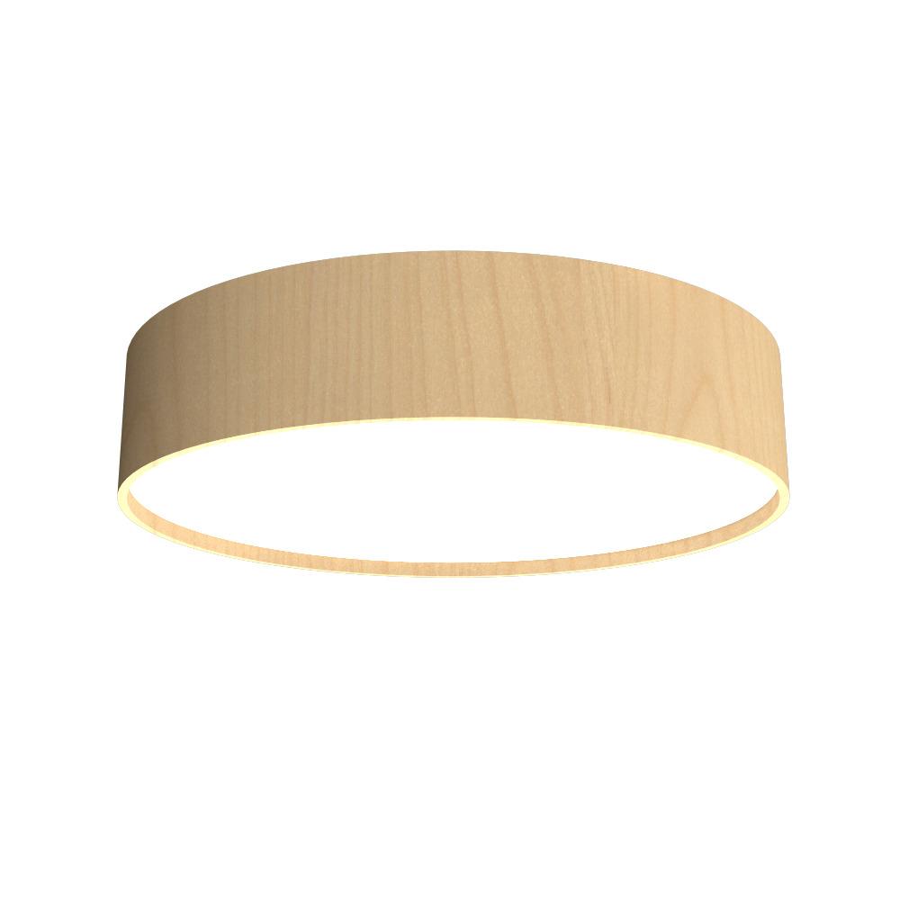 Cylindrical Accord Ceiling Mounted 547 LED